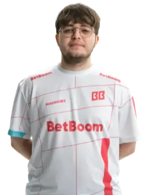 Magnojez