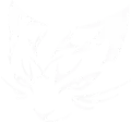 XDM