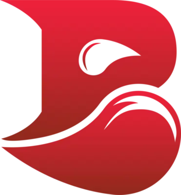 Bleed Esports
