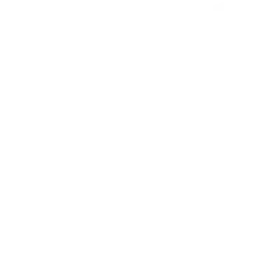 Nigma Galaxy Dota2