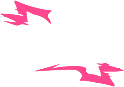 DONSTU