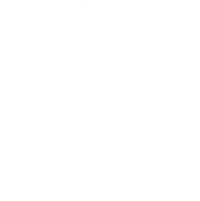 Insilio