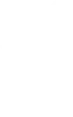 ALPHA TEAM