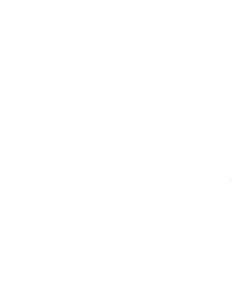 Partizan