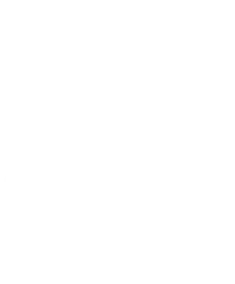 BRUTE