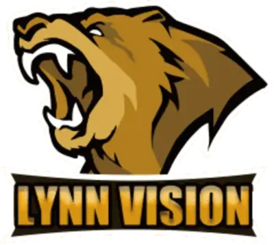 Lynn Vision