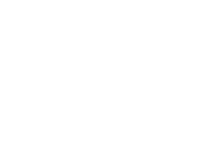 Team Spirit Academy