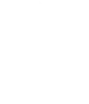 Team Spirit