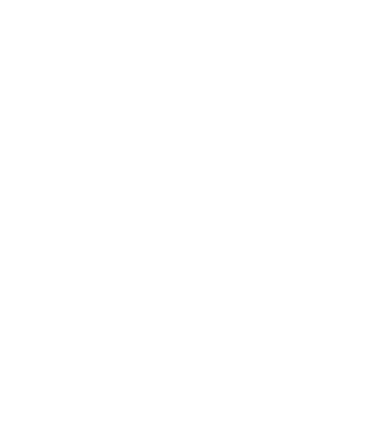 Team Spirit