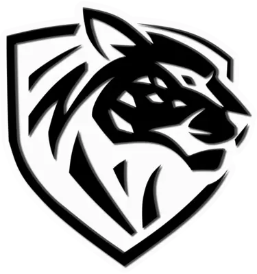 Ilbirs Esports