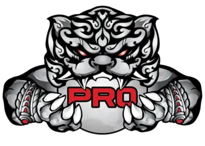 PRO Esports